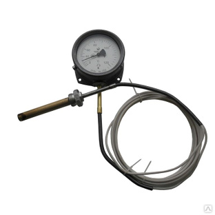 ТКП-100С термометр манометрический, конденсационный, показывающий 