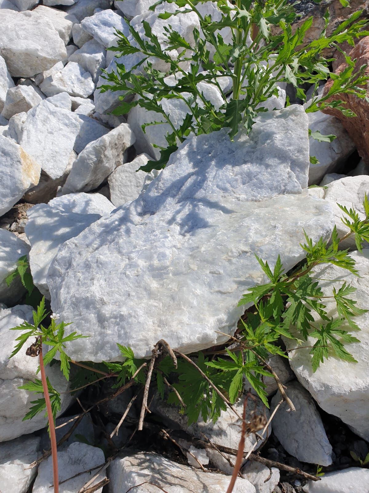 Глыба мраморная белая-синяя 0-500 мм, ландшафтный камень