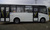 Автобус ПАЗ 3204 дизель (ПАЗ 320435-04 19/52 мест) низкопольный #11