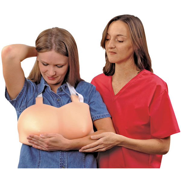 "Бюстгальтерная модель" женской груди