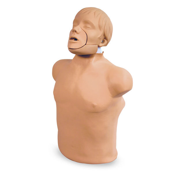 Манекен “Брэд” (торс) для сердечно-легочной реанимации с выдвижной нижней челюстью/CPR-Torso BRED-JAW