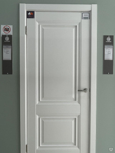 Дверь межкомнатная Альтаир Renolit белый матовый #1