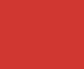 Краска колеровочная (альб.2012) малиново-красная 0.25 кг VGT