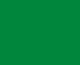 Краска колеровочная (альб.2012) зелёное яблоко 0.25 кг VGT