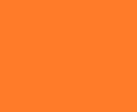 Краска колеровочная (альб.2012) оранжевая 0.25 кг VGT