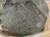 Сплав Деварда (медь-алюминий-цинк) размер частиц 1 мм #2
